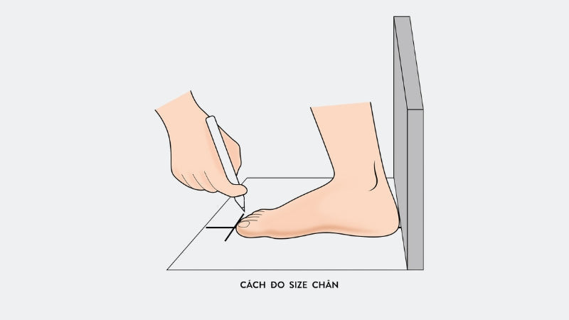 Hướng dẫn cách đo chiều dài bàn chân nữ 23cm chính xác tại nhà