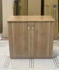 Tủ giày nhựa đẹp TGN141 với nhiều ngăn chứa, tối ưu không gian.