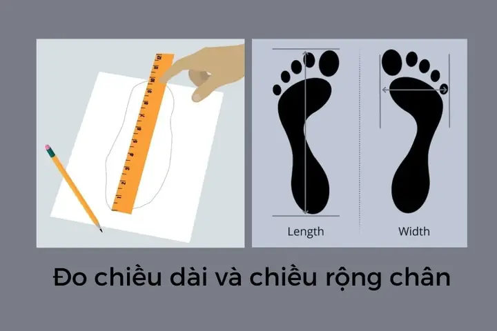Hướng dẫn chi tiết cách đo chiều dài chân để mua giày