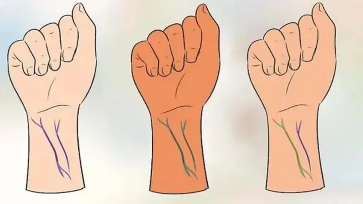 Cách Pha Màu Cơ Bản Cho Da Giày: Hướng Dẫn Chi Tiết