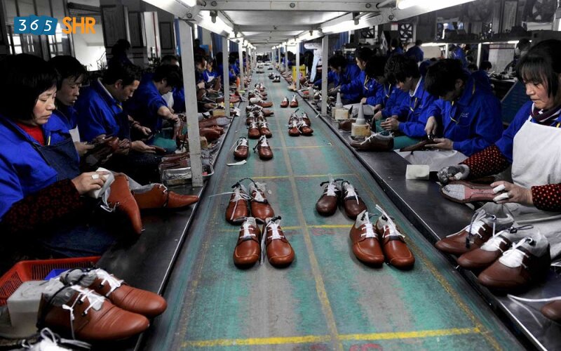 Công nhân giày da có độc hại không: Đánh giá toàn diện rủi ro và giải pháp