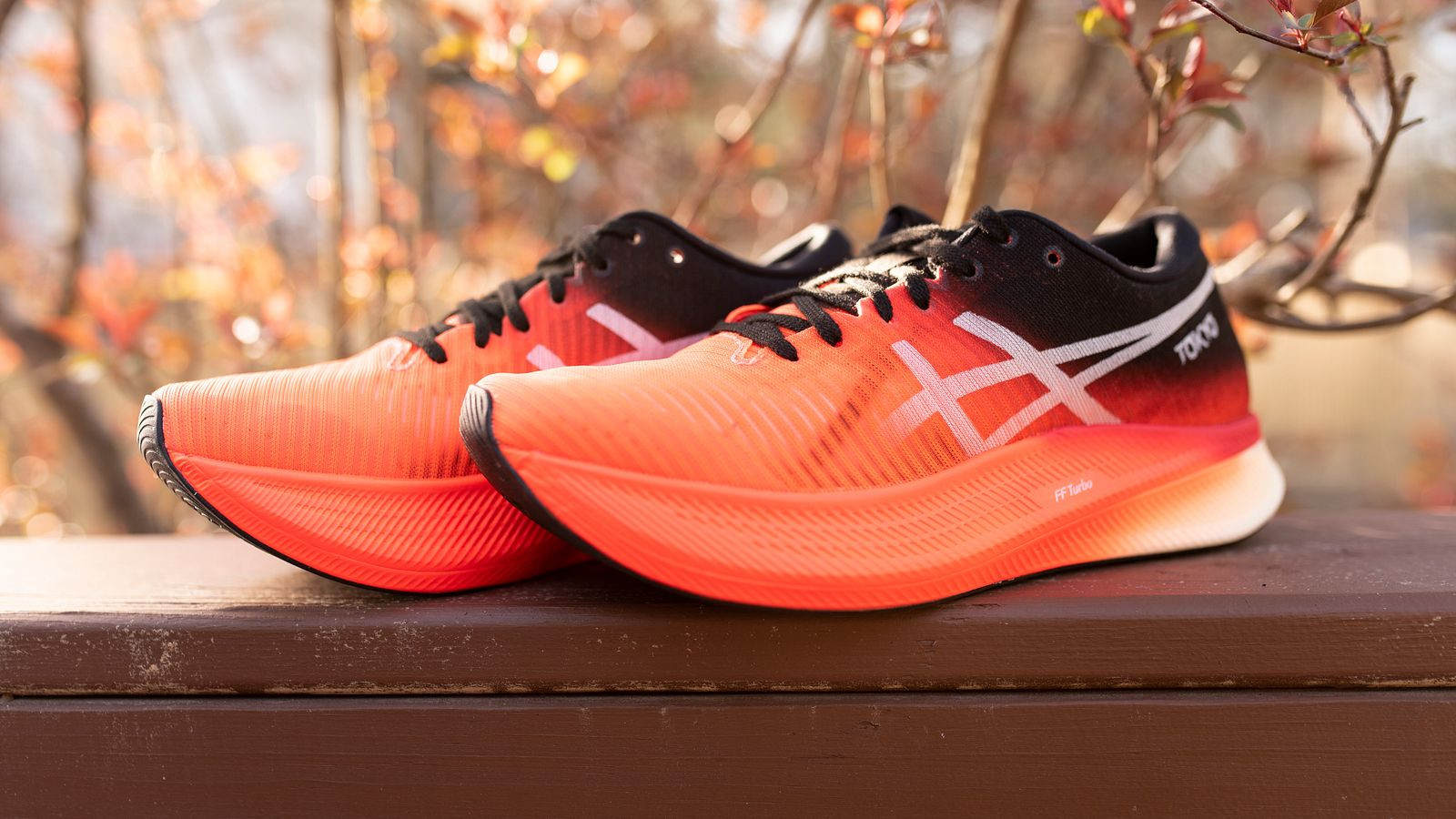 Giày chạy bộ ASICS Metaspeed Sky/Edge