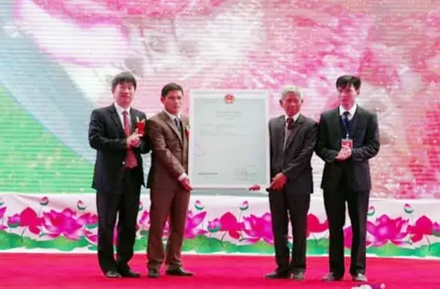 Giày Có Thương Hiệu Tiếng Anh Là Gì và Các Thuật Ngữ Liên Quan