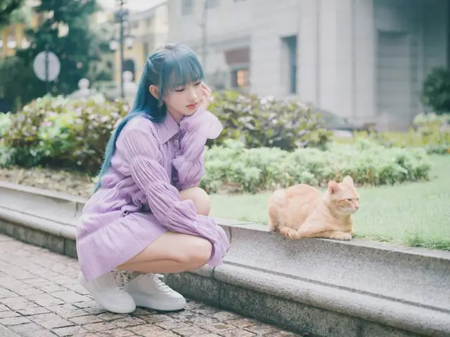 Giày Màu Tím Đi Với Dây Màu Gì? Gợi Ý Phối Hợp Hoàn Hảo Giày Màu Tím Đi Với Dây Màu Gì? Gợi Ý Phối Hợp Hoàn Hảo