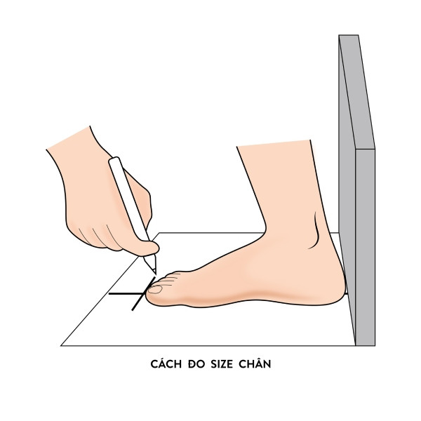 Quy Đổi Size Giày Việt Nam Sang Nhất Chuẩn và Dễ Hiểu
