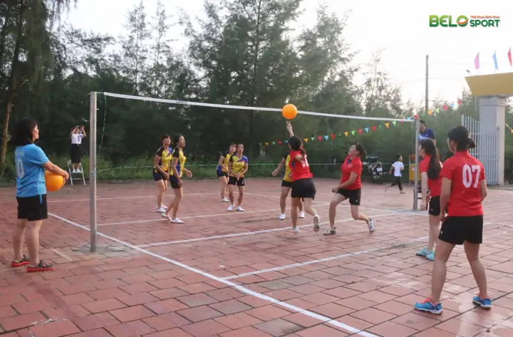 Mang giày gì tập bóng chuyền sân xi măng phù hợp nhất?
