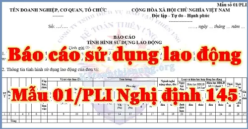 Mẫu Giải Trình Chậm Kê Khai Sử Dụng Lao Động Đúng Quy Định Mẫu Giải Trình Chậm Kê Khai Sử Dụng Lao Động Đúng Quy Định