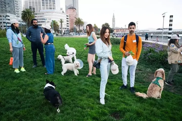 Nên mua giày đá banh sân cỏ nhân tạo ở đâu? Nên mua giày đá banh sân cỏ nhân tạo ở đâu?