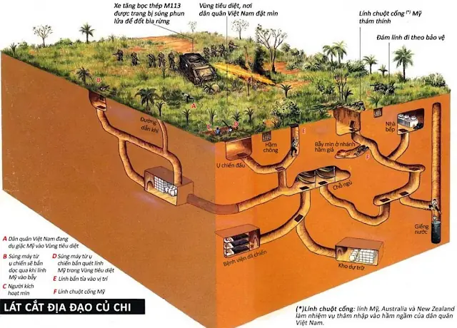 Phim Giày Thủy Tinh Thuyết Minh Miền Bắc: Tổng Quan Và Cách Xem Phim Giày Thủy Tinh Thuyết Minh Miền Bắc: Tổng Quan Và Cách Xem