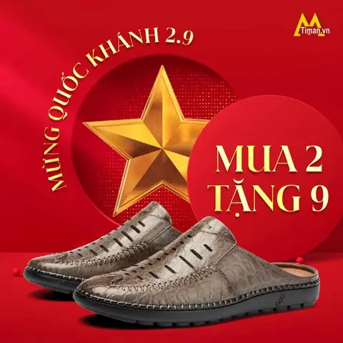 Tóm tắt bài viết
