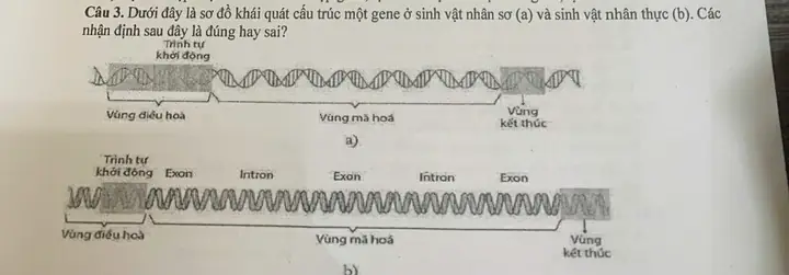 Sơ đồ cấu tạo giày và chú thích chi tiết các bộ phận Sơ đồ cấu tạo giày và chú thích chi tiết các bộ phận