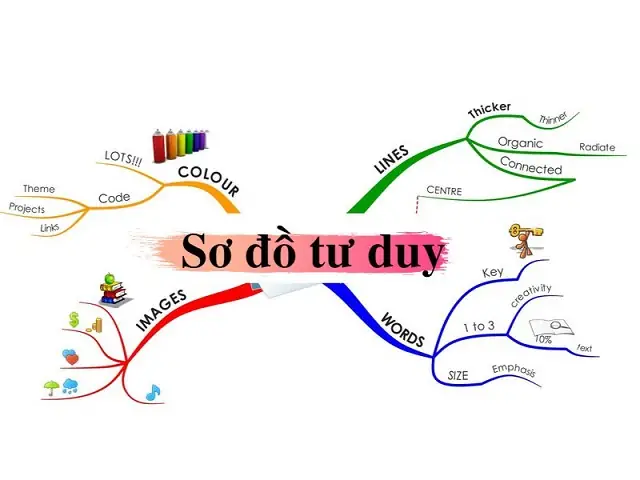 Sơ đồ cấu tạo giày và chú thích chi tiết các bộ phận