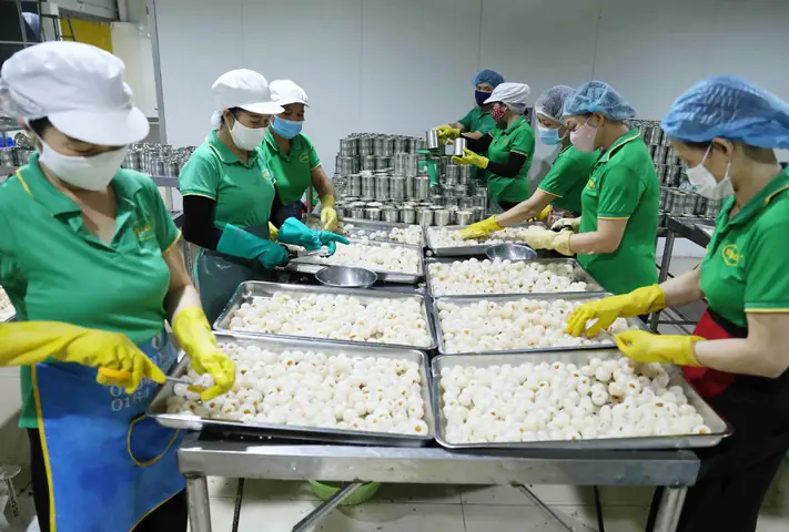 Tổ Liên Kết Sản Xuất Giày Ở Phương Sài Hoạt Động Ra Sao?
