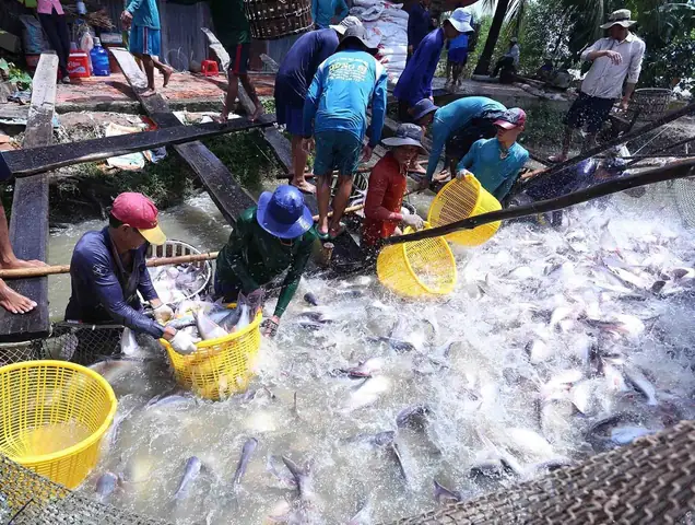 Tổ Liên Kết Sản Xuất Giày Ở Phương Sài Hoạt Động Ra Sao?