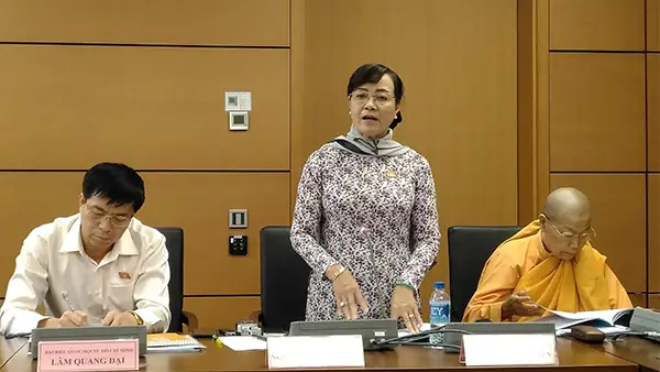 Bà Nguyễn Thị Quyết Tâm Bị Ném Giày: Thông Tin Và Bối Cảnh Sự Việc