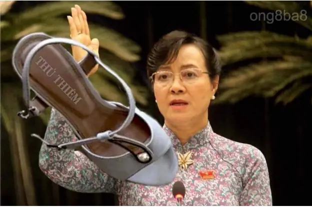 Bà Nguyễn Thị Quyết Tâm Bị Ném Giày: Thông Tin Và Bối Cảnh Sự Việc