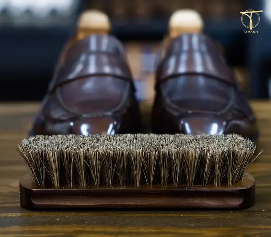 Bàn Chải Lông Ngựa