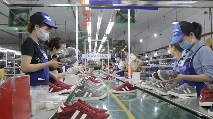 Quy Mô Thị Trường Ngành Da Giày Việt Nam 2024