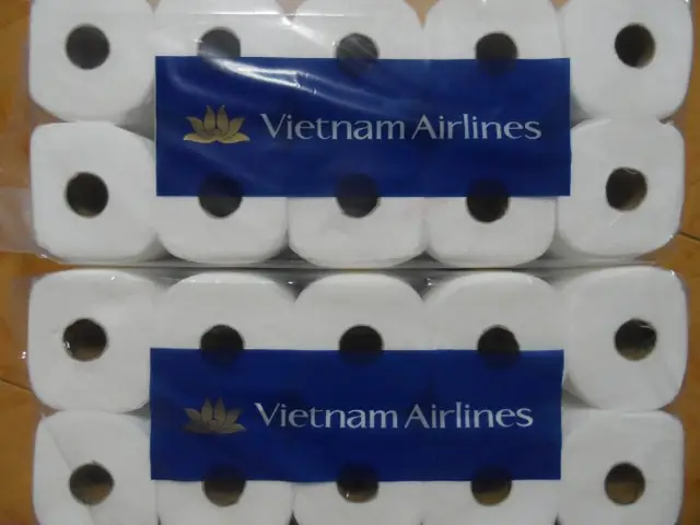 3. Giáº¥y vá» sinh Vietnam Airline