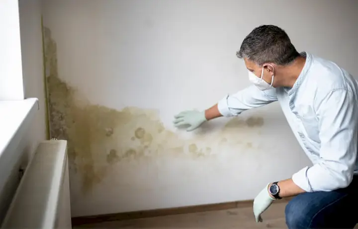 Hướng Dẫn Cách Làm Khô Và Thơm Giày Sau Khi Ướt Hiệu Quả