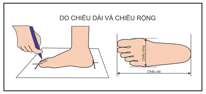 I. Hướng Dẫn Chọn Size Giày I. Hướng Dẫn Chọn Size Giày