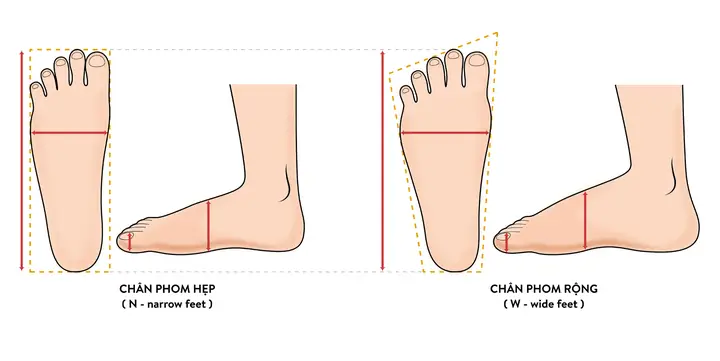 Cách thức đo kích thước bàn chân chuẩn xác Cách thức đo kích thước bàn chân chuẩn xác