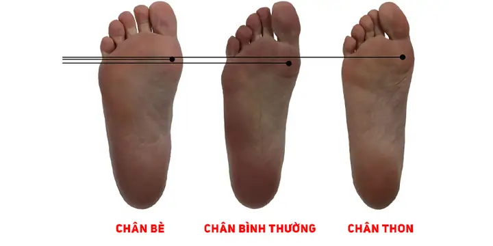 Chân Bè Nên Đi Giày Đá Bóng Nào? Top 5 Mẫu Giày Tối Ưu Nhất Chân Bè Nên Đi Giày Đá Bóng Nào? Top 5 Mẫu Giày Tối Ưu Nhất