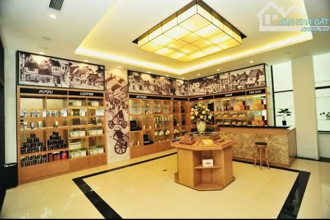 Top cửa hàng giày Tô Hiệu Trần Tử Bình uy tín nên ghé Top cửa hàng giày Tô Hiệu Trần Tử Bình uy tín nên ghé
