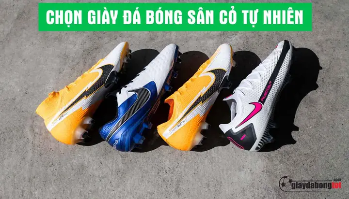 Giới thiệu giày đá bóng sân cỏ tự nhiên Giới thiệu giày đá bóng sân cỏ tự nhiên