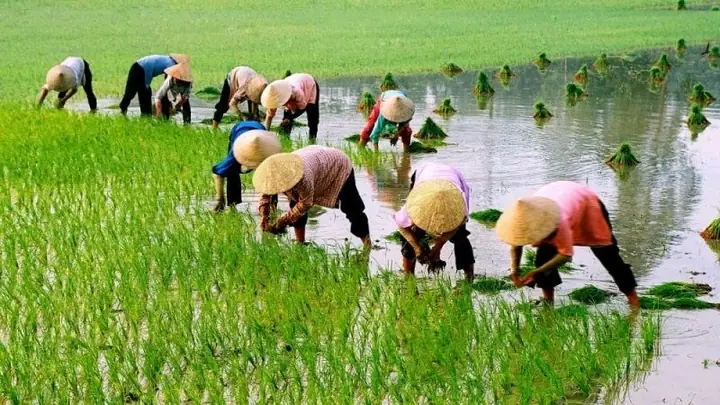 3Đối tượng nào dễ bị nước ăn chân 3Đối tượng nào dễ bị nước ăn chân