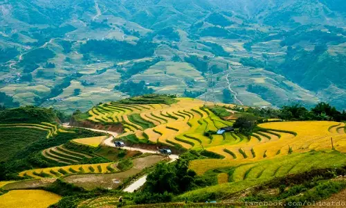 Cẩm Nang Cho Những Ai Đi SaPa Lần Đầu Cẩm Nang Cho Những Ai Đi SaPa Lần Đầu