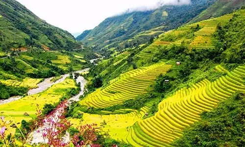 Cẩm Nang Cho Những Ai Đi SaPa Lần Đầu