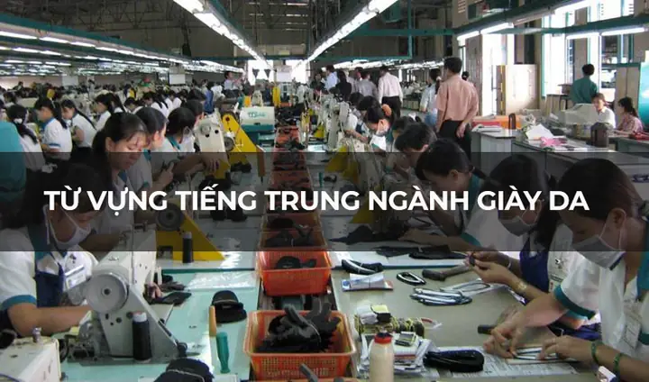 Từ vựng tiếng Trung ngành giày da Từ vựng tiếng Trung ngành giày da