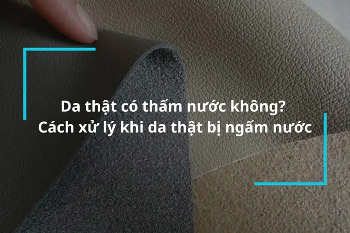 giai dap thac mac da that co tham nuoc khong giai dap thac mac da that co tham nuoc khong