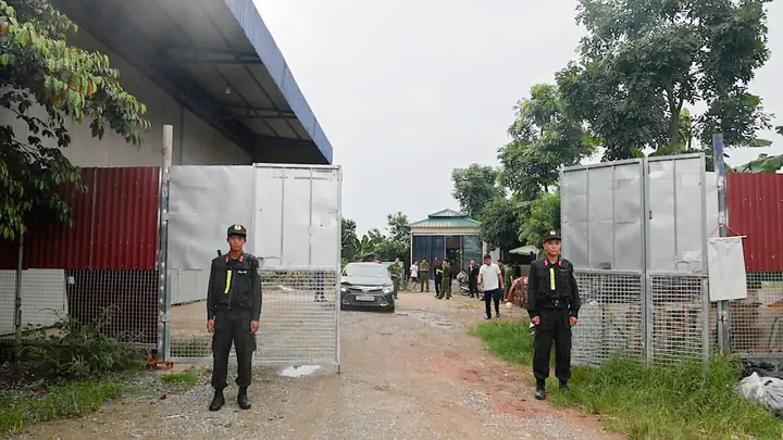 Thịt Trâu - Ảnh 1.