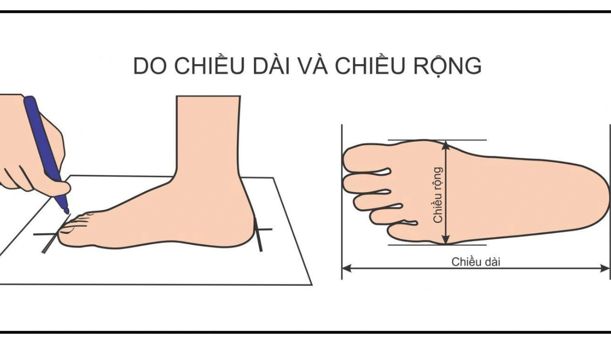 Kiểm tra thử giày trực tiếp cho chân 28cm
