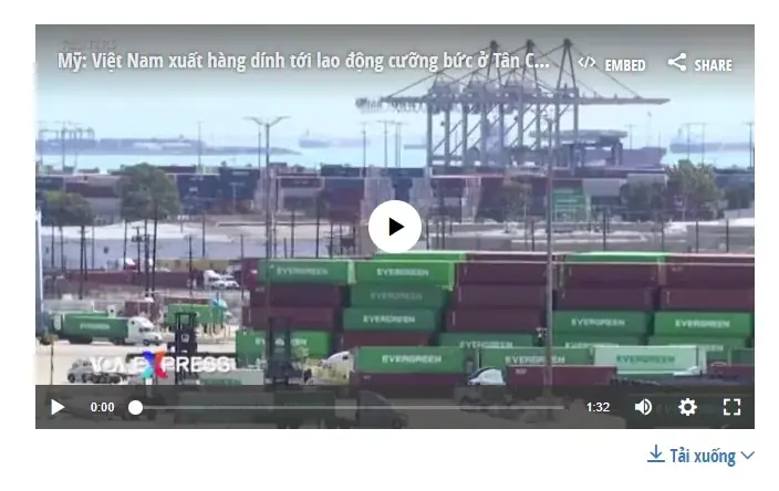Lao Động Cưỡng Bức Trong Ngành Giày Da: Thực Trạng Và Hậu Quả Lao Động Cưỡng Bức Trong Ngành Giày Da: Thực Trạng Và Hậu Quả