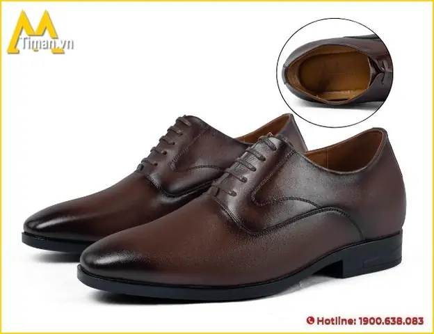 1 Cấu Trúc Bên Ngoài