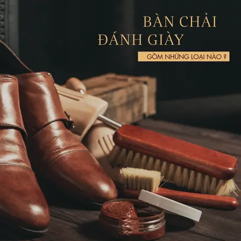 Bàn Chải Đánh Giày Gồm Những Loại Nào? Công Dụng? Mua Ở Đâu?