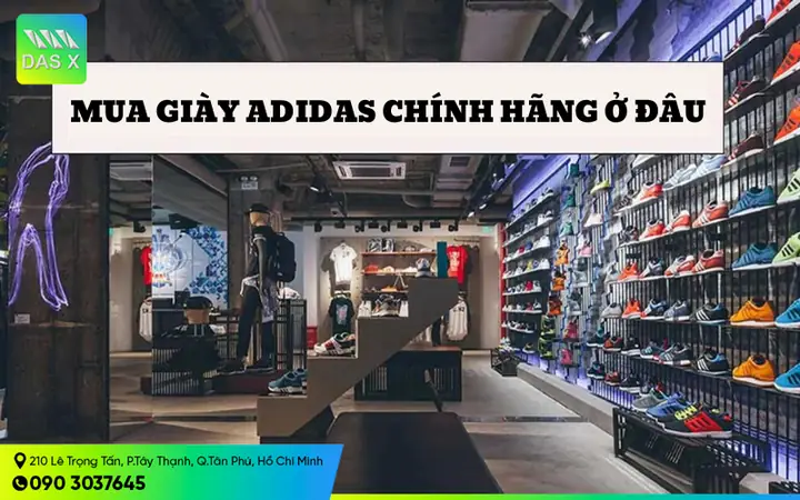 Mua Giày Adidas Chính Hãng Ở Đâu Tphcm: Cẩm Nang Lựa Chọn Chuẩn Nhất Mua Giày Adidas Chính Hãng Ở Đâu Tphcm: Cẩm Nang Lựa Chọn Chuẩn Nhất