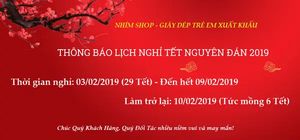 Đánh Giá Chi Tiết Nhím Shop Giày Dép Trẻ Em Xuất Khẩu: Có Nên Mua?