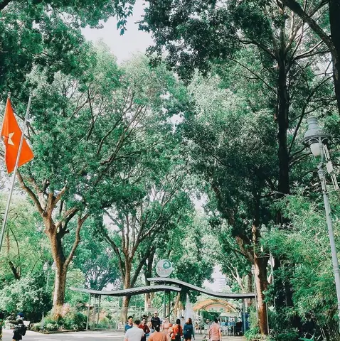 4. Những điểm đặc sắc của Thảo Cầm Viên Sài Gòn 4. Những điểm đặc sắc của Thảo Cầm Viên Sài Gòn
