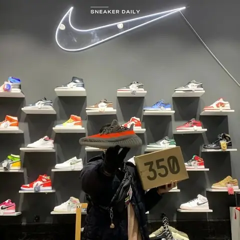 Sneaker Daily