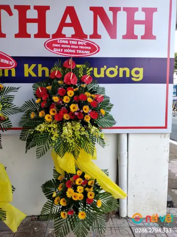 Hình Ảnh Thực Tế