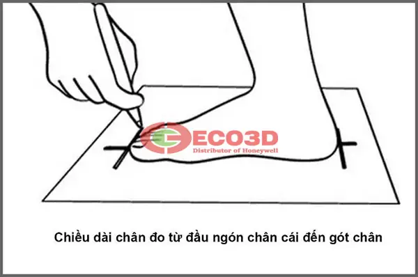 Cách Tính Size Giày Bảo Hộ Hàn Quốc Đơn Giản Cách Tính Size Giày Bảo Hộ Hàn Quốc Đơn Giản