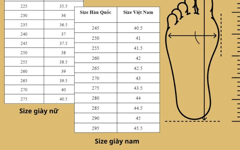 Size giày 235 tương đương size bao nhiêu? là size của nước nào?