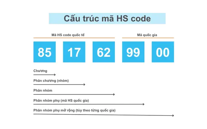 Hướng dẫn tra mã HS code của mặt hàng giày dép chính xác Hướng dẫn tra mã HS code của mặt hàng giày dép chính xác