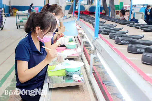 Trách Nhiệm Doanh Nghiệp Với Khách Hàng Giày Là Gì?