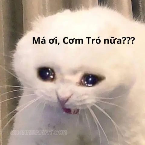 Trò Chơi Hiểu Ý Nhau Bằng Cách Giơ Giày: Hướng Dẫn Chi Tiết