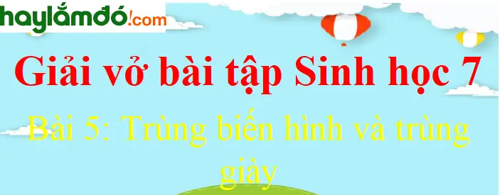 Giải vở bài tập Sinh Học lớp 7 Bài 5: Trùng biến hình và trùng giày